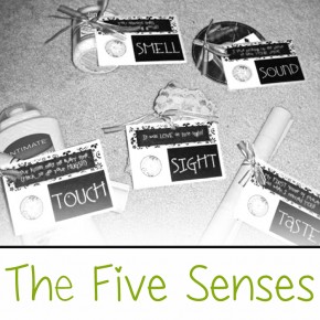 The Five Senses gift idea.