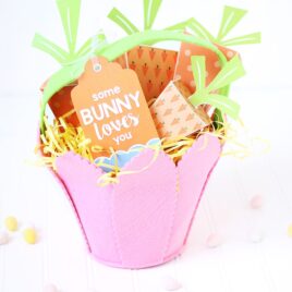 Some Bunny Loves You Easter Basket