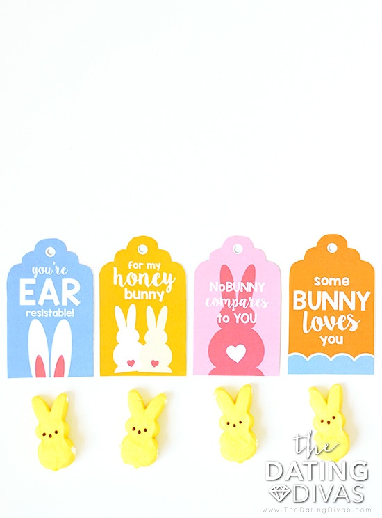 Some Bunny Loves You Gift Tags