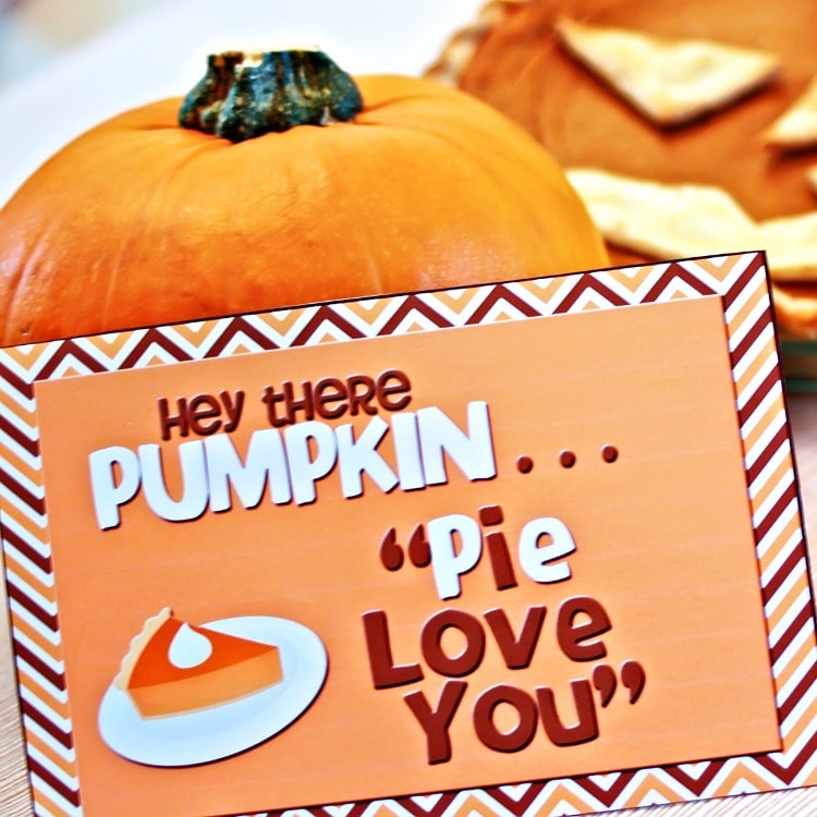 pumpkin youre dating a tumbling pumpkin youre dating a tumbling