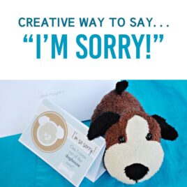 Creative Way to Say Sorry