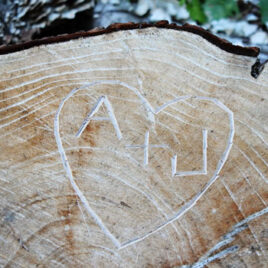 initials in a tree