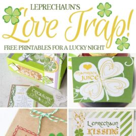 Leprechaun Love Trap