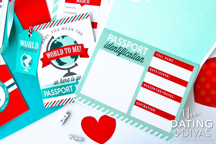 Passport Gift Idea