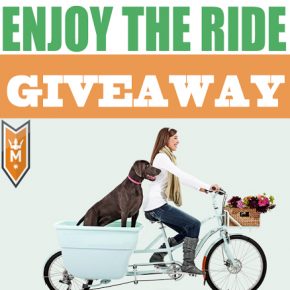 Enjoy the Ride Giveaway