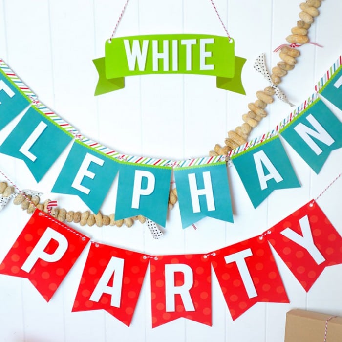 Dating divas white elephant gifts