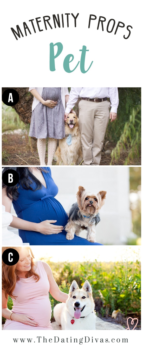 Maternity Photo with Dog