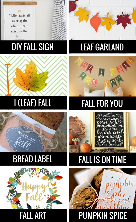 DIY Fall Banner and Fall Signs