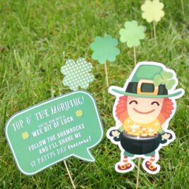 Lawn Leprechaun Idea