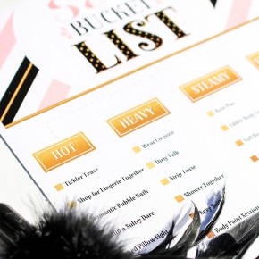 Closeup of a sexy bucket list with feathers