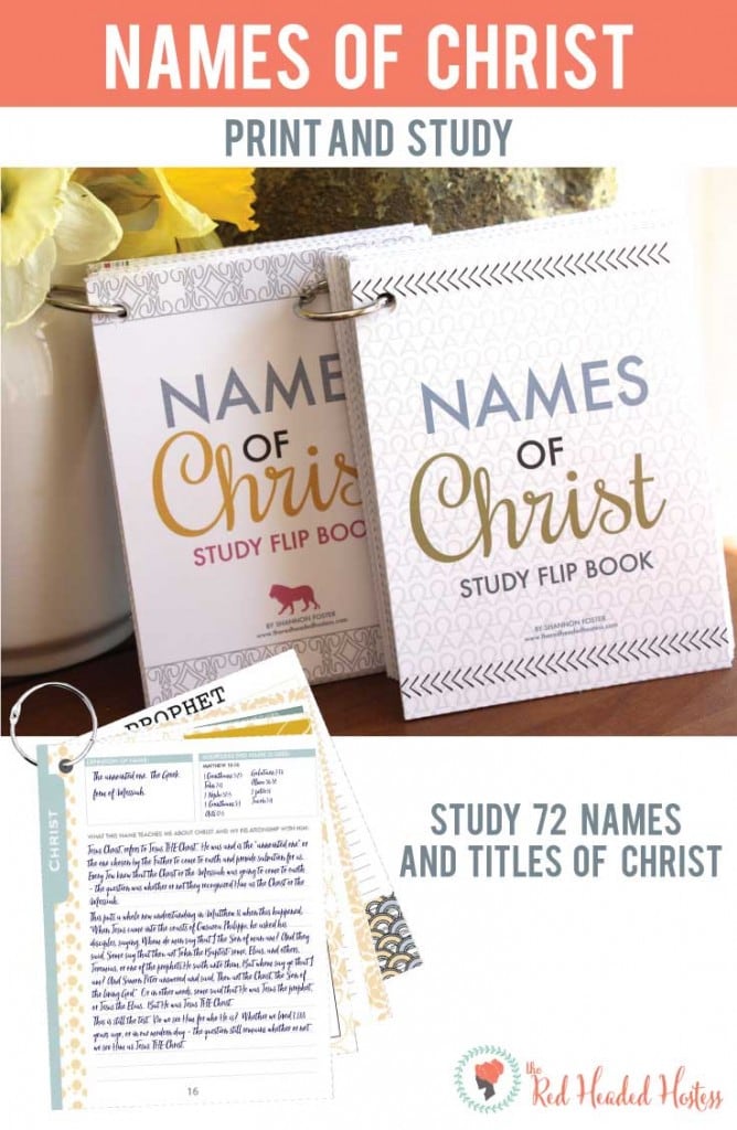 Names of Christ Study Flip Book