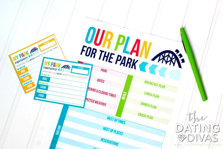 Amusement Park Organizer