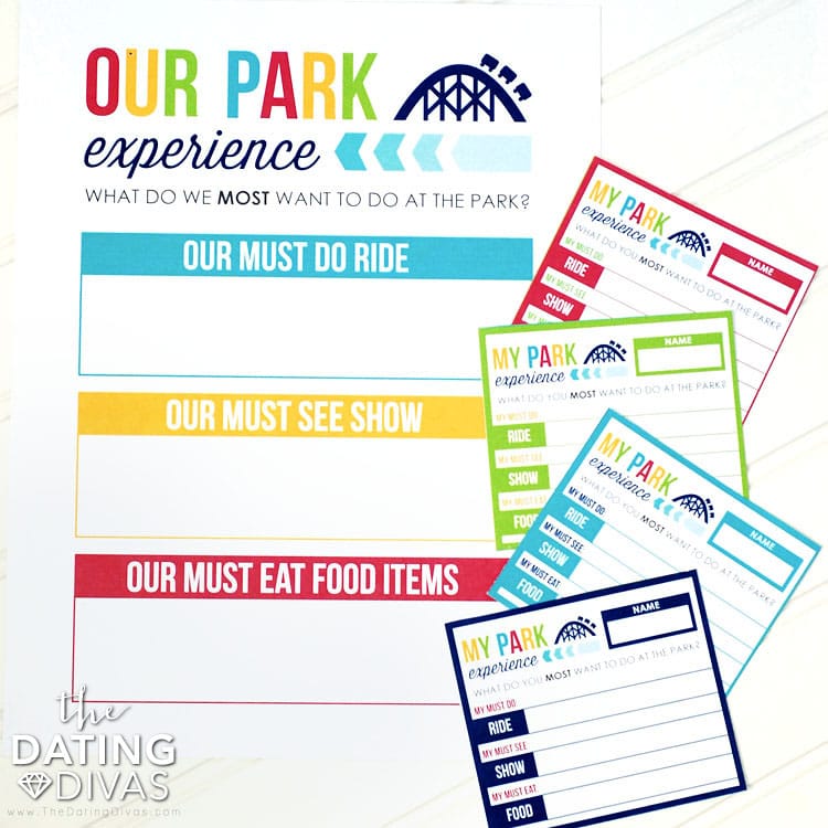 Amusement Park Surveys