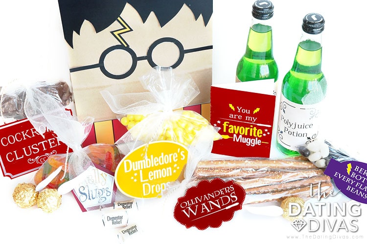 Harry Potter gift idea!