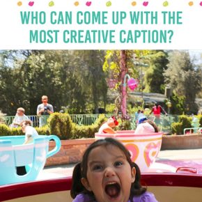 Fall Caption Contest