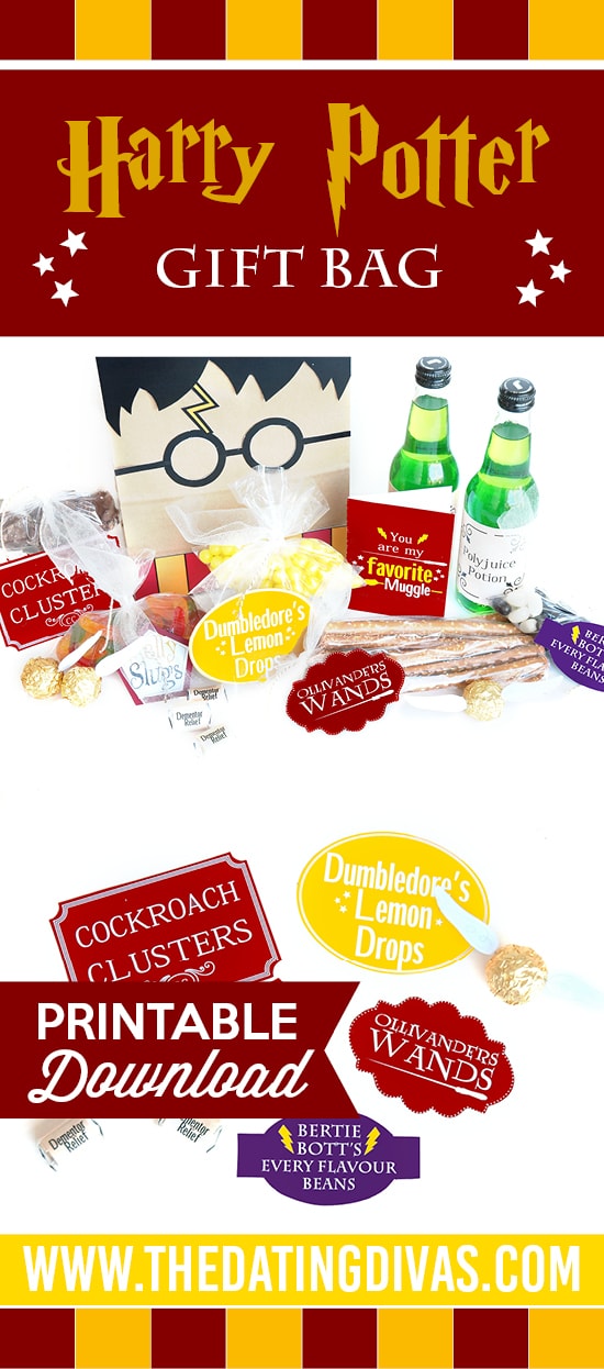 Harry Potter Gift Bag Idea - From The Dating Divas