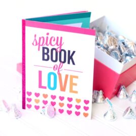 Spicy Book of Love