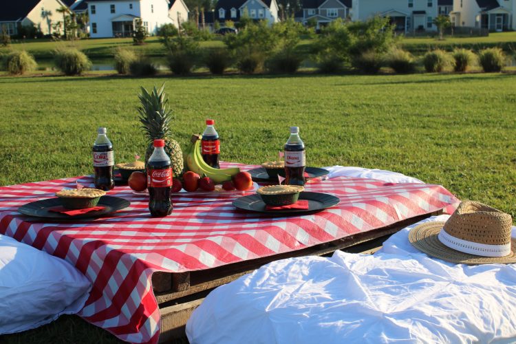outdoor home improvements and group picnic! - the dating divas