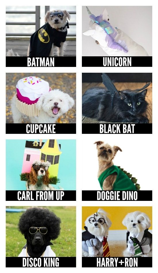 More DIY Halloween Costumes for Pets