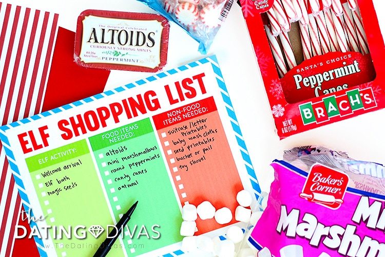 Elf on the Shelf Shopping List