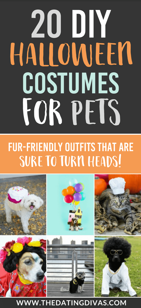 101 DIY Halloween Costumes for Pets #halloweencostumes #diyhallioween