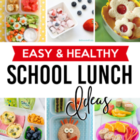 Easy and Healthy School Lunch Ideas for Kids