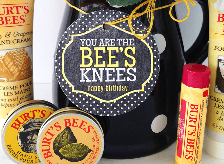 You Are The Bee's Knees Birthday Gift