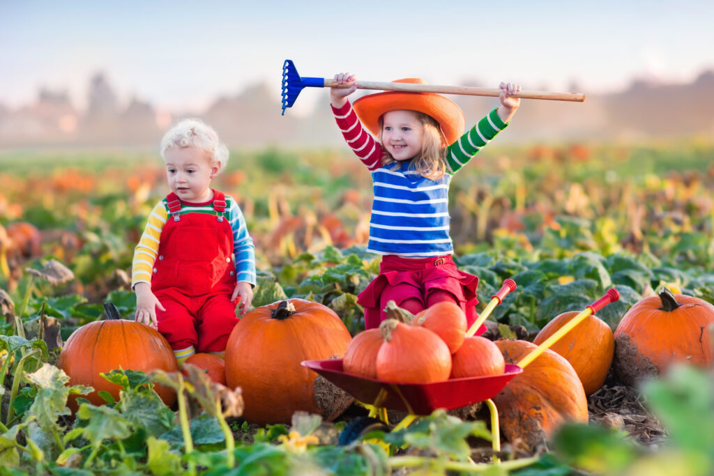 Printable Thanksgiving Games For Families