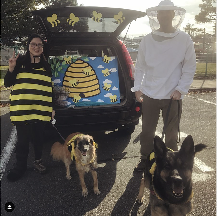 Trunk decorated as a beehive - a great trunk or treat idea for Halloween | The Dating Divas