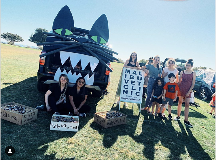 Trunk decorated as a large black cat - a great trunk or treat idea for Halloween | The Dating Divas