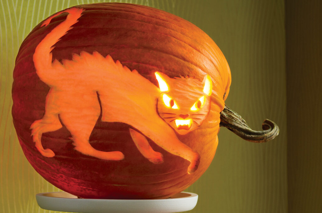 Cat Pumpkin Carving Patterns