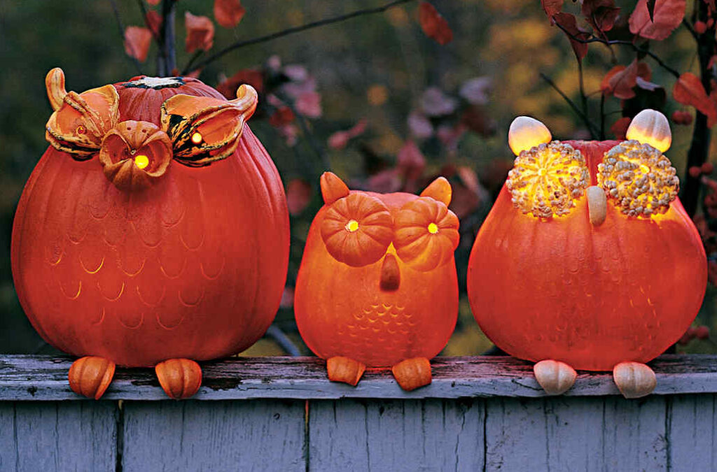 Owls made out of pumpkins. | The Dating Divas