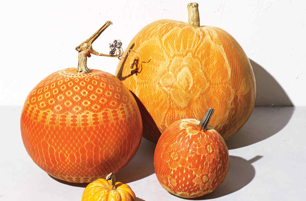 Lace pumpkin idea for a pumpkin carving party.| The Dating Divas