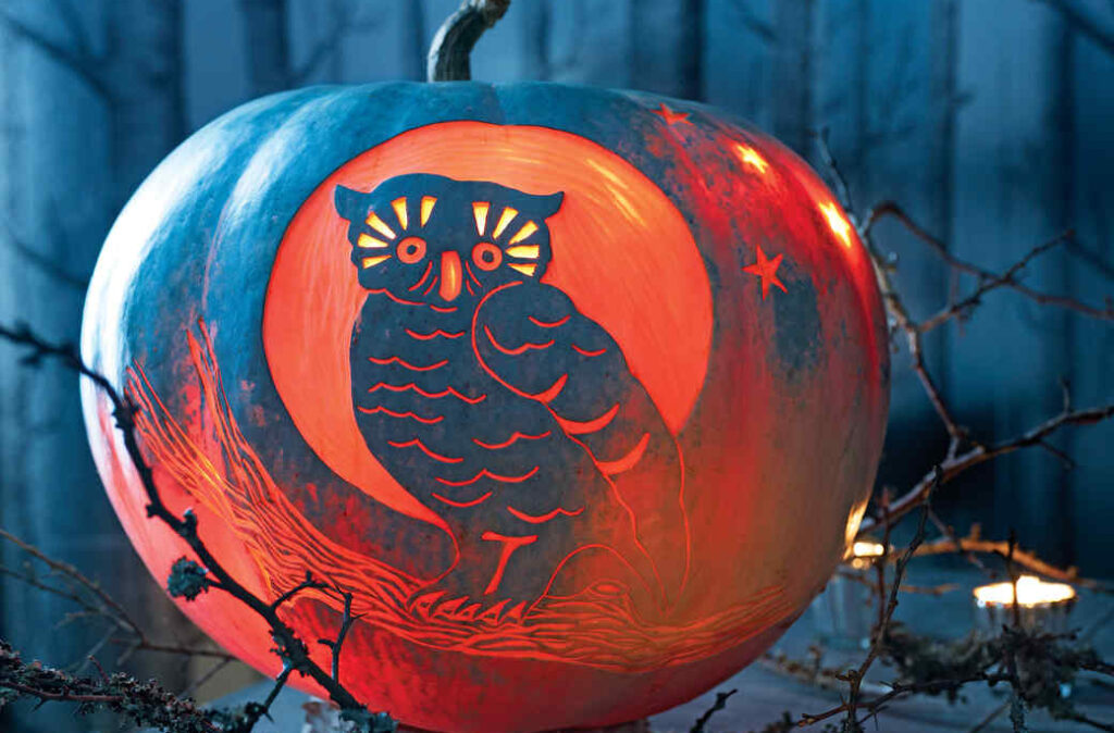 Beautiful owl pumpkin carving patterns. | The Dating Divas