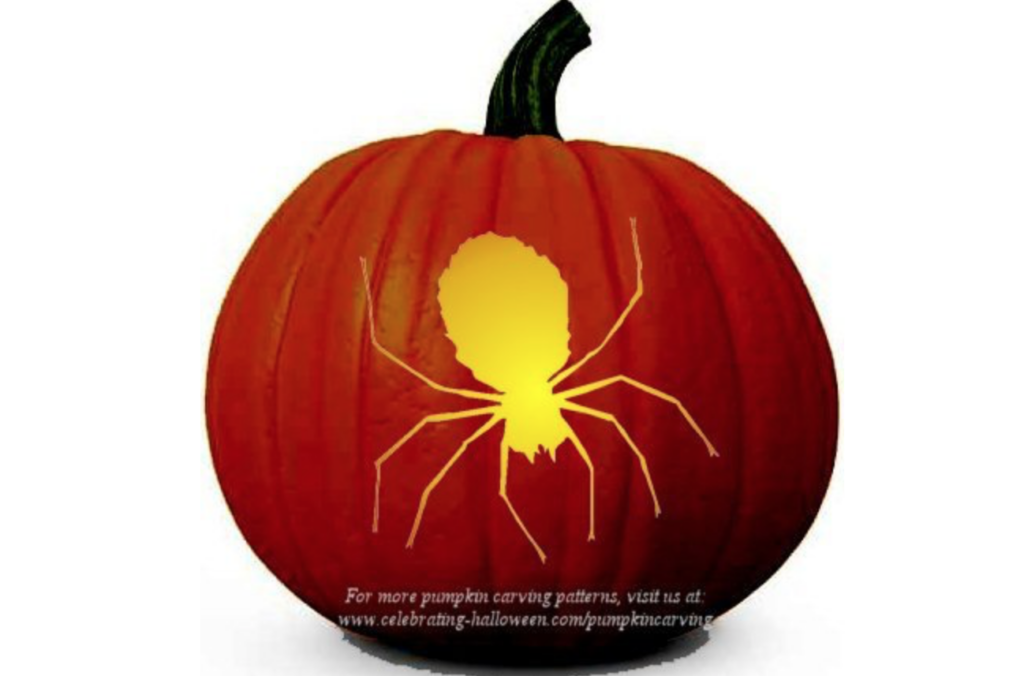 Spider pumpkin carving ideas. | The Dating Divas