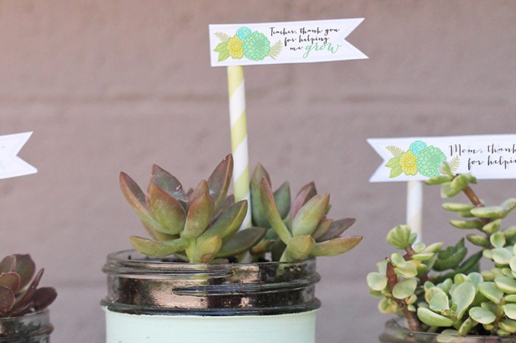 Teacher appreciation ideas for succulents and a free tag. | The Dating Divas