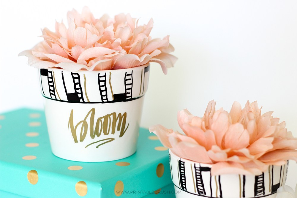 Adorable hand lettered pot that are perfect for everyone. | The Dating Divas