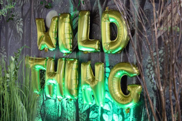 "Wild Thing" Baby Shower Idea | The Dating Divas