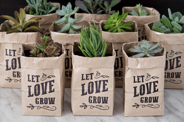 Let love grow succulent bag for bridal shower | The Dating Divas