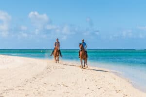 Horseback riding date idea that are perfect for adventurous couples. | The Dating Diva