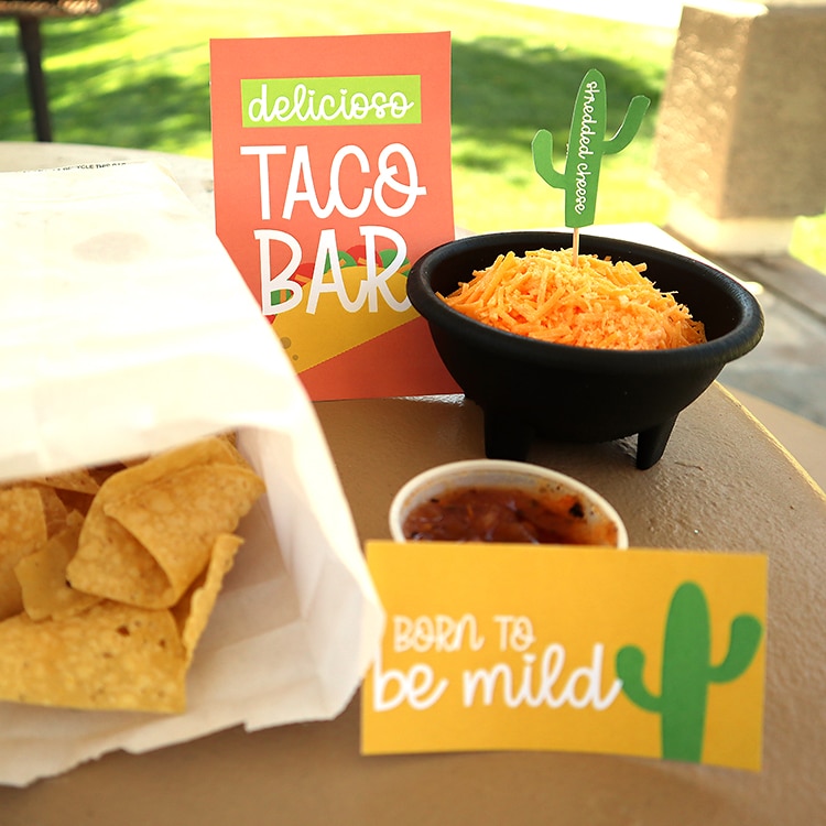 10 DIY Taco Bar Party Ideas That Are Easy   Delicious - 30