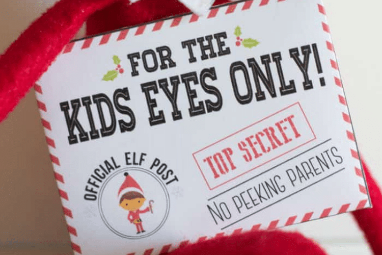 101 of the Best Elf on the Shelf Ideas   Easy   Funny - 53