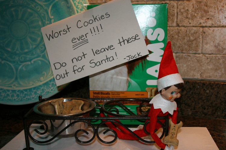 101 of the Best Elf on the Shelf Ideas   Easy   Funny - 24