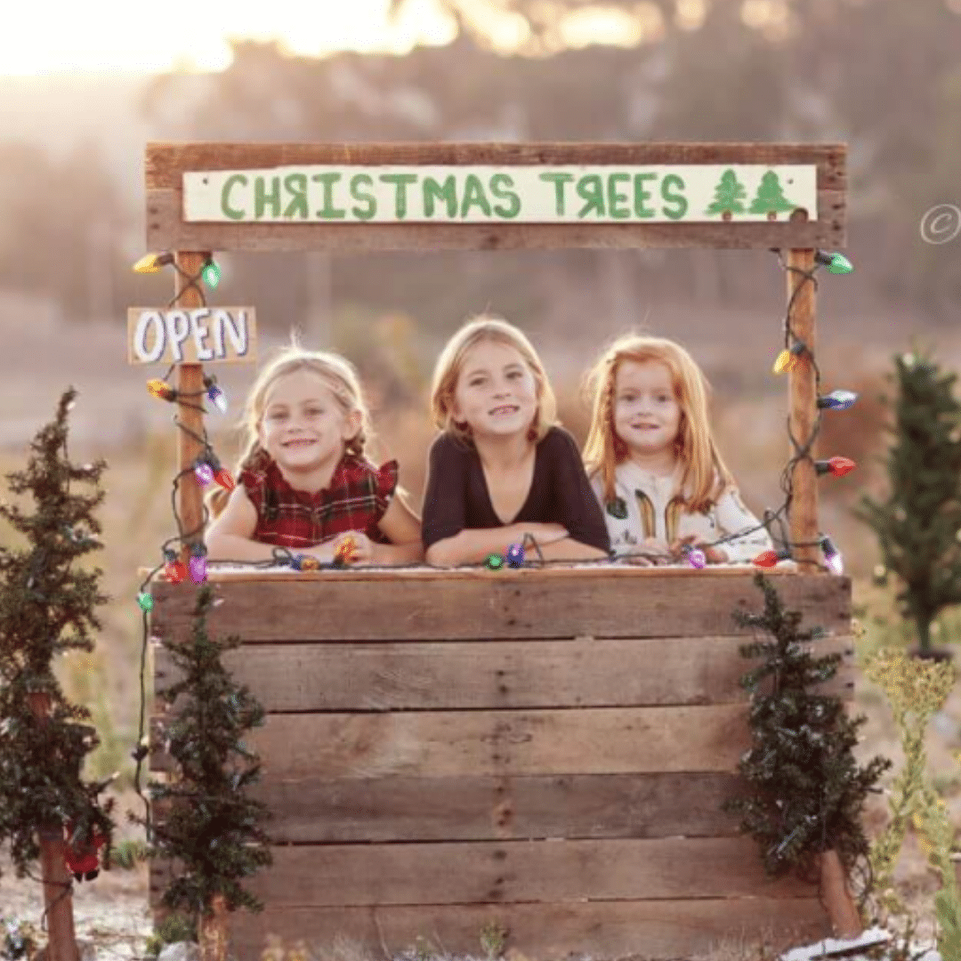 Tree Farm Christmas Photos · Crabapple Photography