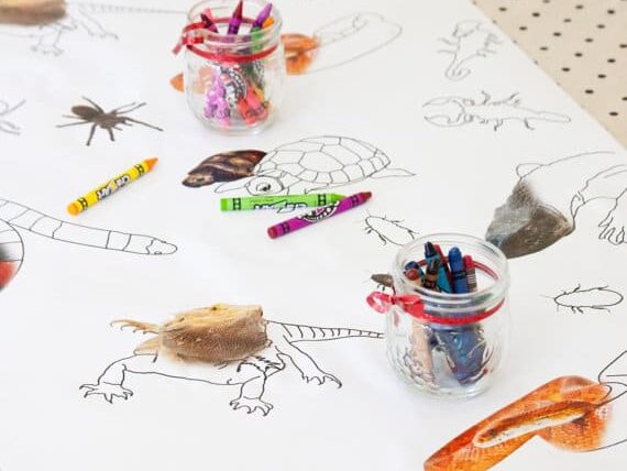 100  Birthday Decorations That Will Blow You Away - 20