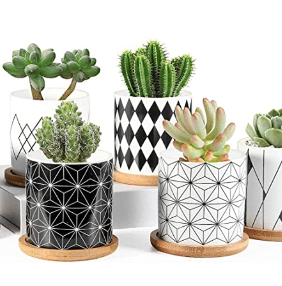 25 Women Approved Valentine s Day Gifts for Her - 85