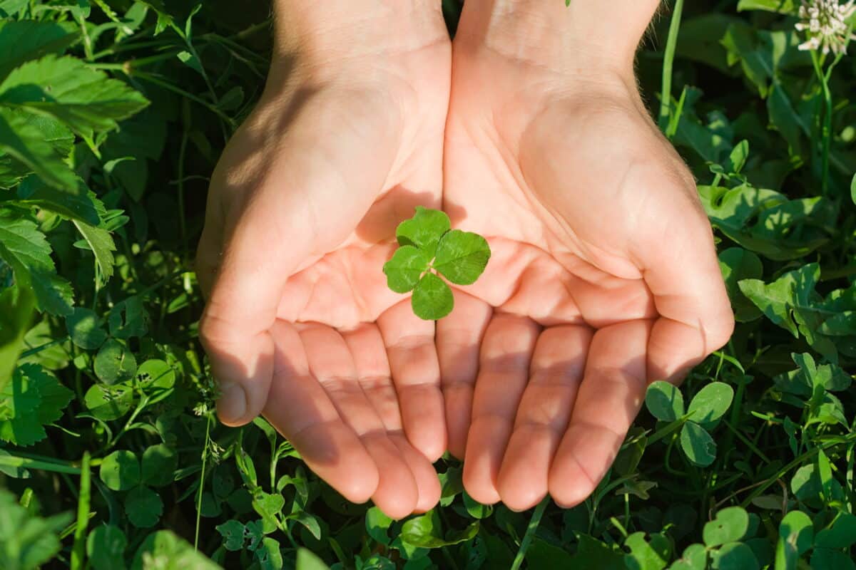 50 BEST St  Patrick s Day Quotes Ever - 2