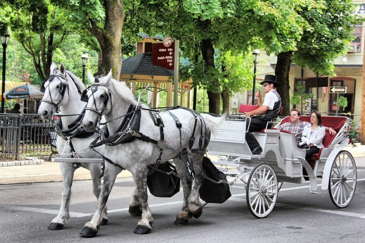 A carriage ride that makes for a wonderful and romantic Valentine's Day idea | The Dating Divas