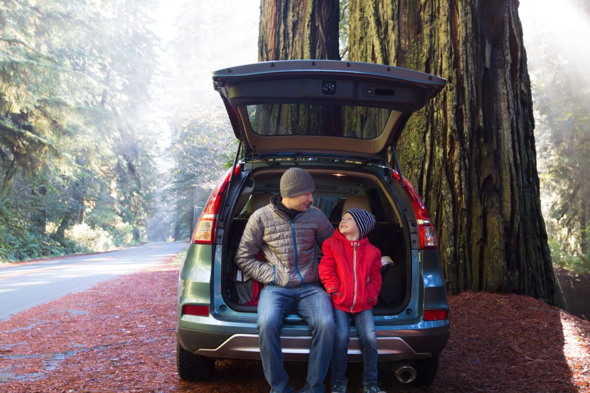 Enjoy a fun-filled family vacation among the trees at Redwood National Park. | The Dating Divas