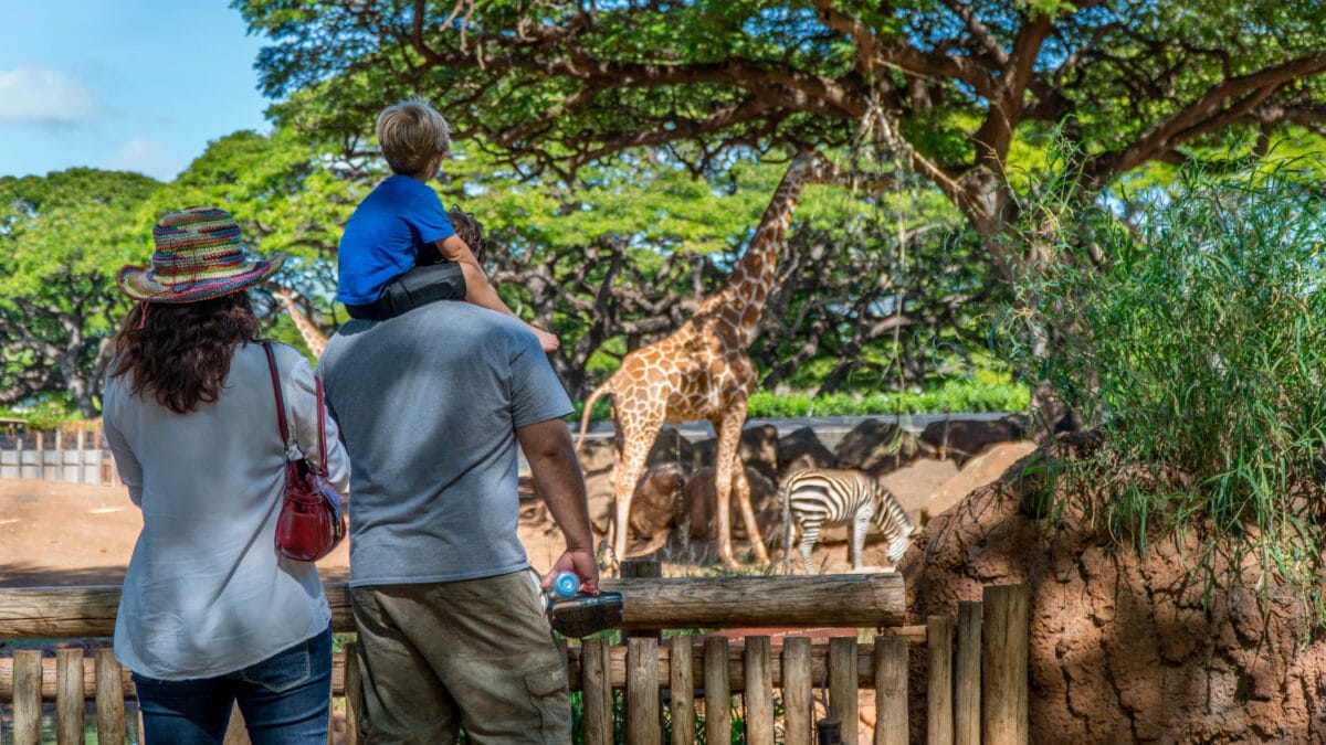 Take your family to the zoo to celebrate this fun national day! | The Dating Divas 